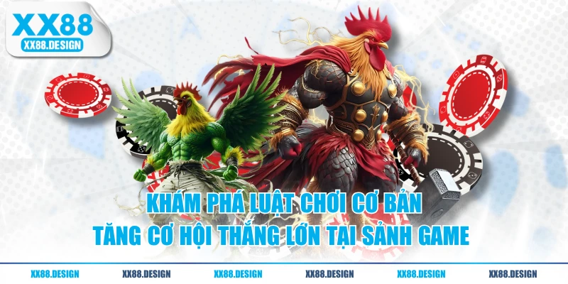 ĐÁ GÀ 2 Khám phá luật chơi cơ bản tăng cơ hội thắng lớn tại sảnh game