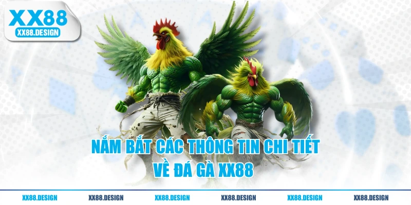 ĐÁ GÀ 1 Nắm bắt các thông tin chi tiết về đá gà XX88