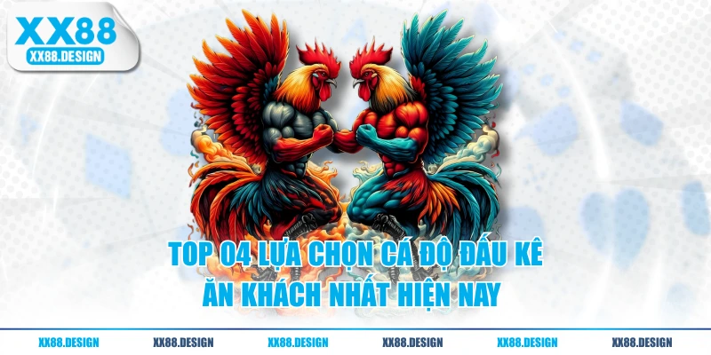 ĐÁ GÀ 3 Top 04 lựa chọn cá độ đấu kê ăn khách nhất hiện nay