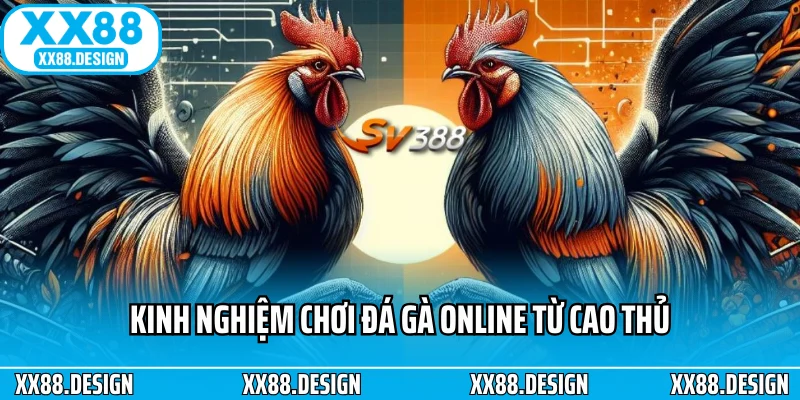 Kinh nghiệm chơi đá gà online từ cao thủ
