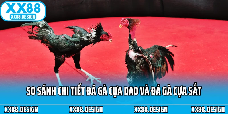So sánh chi tiết đá gà cựa dao và đá gà cựa sắt